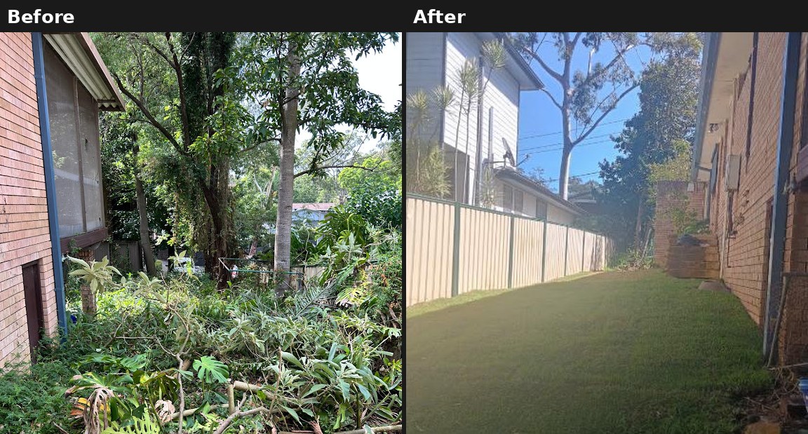 Before and after: overgrown yard cleared back to a clean usable space